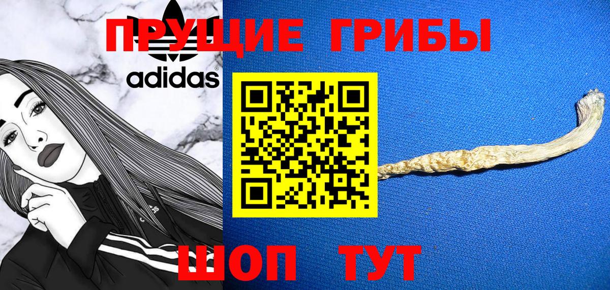Псилоцибиновые грибы прущие грибы  Вход с VPN  Лесозаводск  Псилоцибиновые грибы Psilocybe 